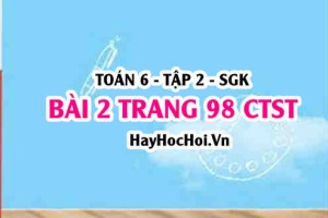 Giải bài 2 trang 98 Toán 6 Tập 2 Chân trời sáng tạo